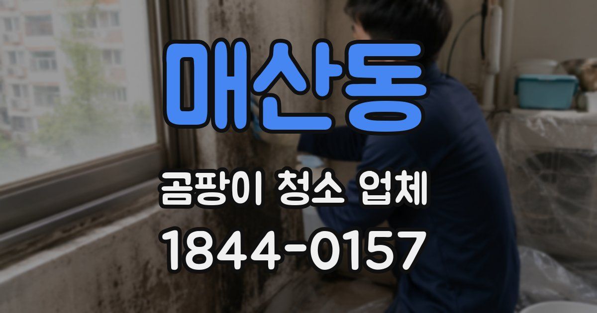 매산동 곰팡이 청소 업체
