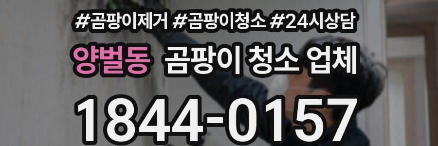 양벌동 곰팡이 청소 업체
