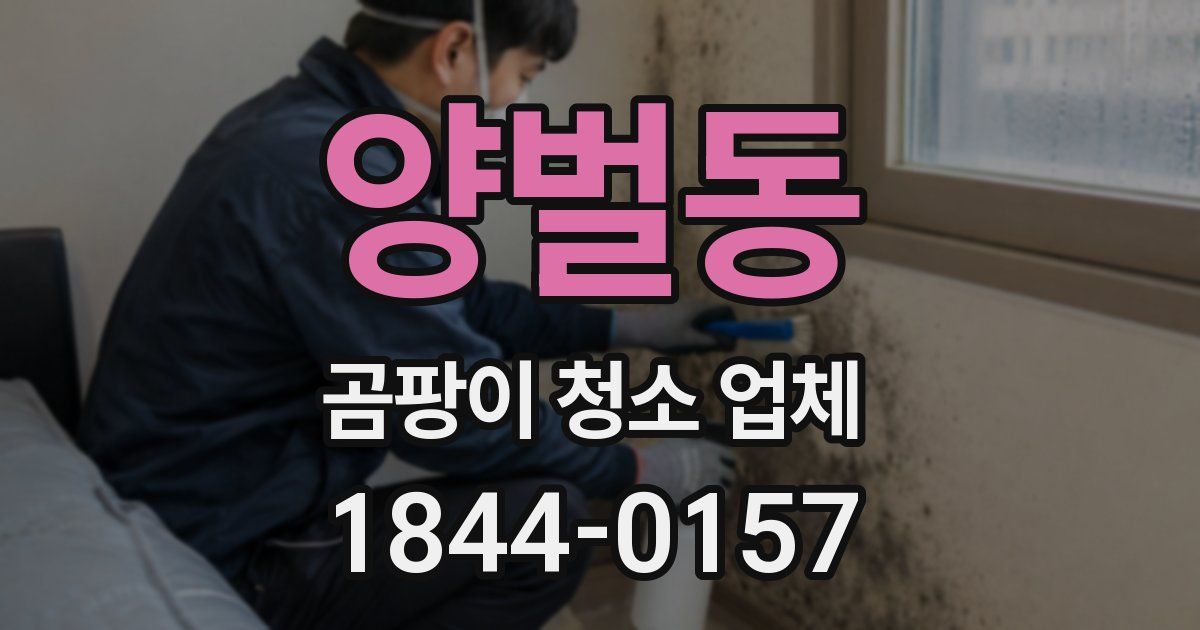 양벌동 곰팡이 청소 업체