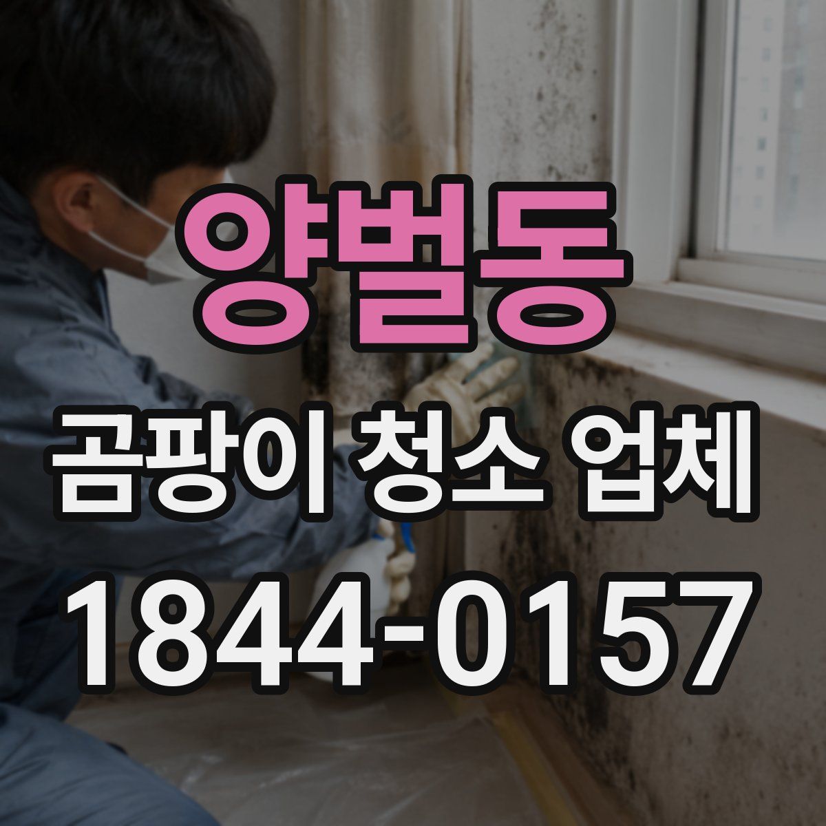 양벌동 곰팡이 청소 업체