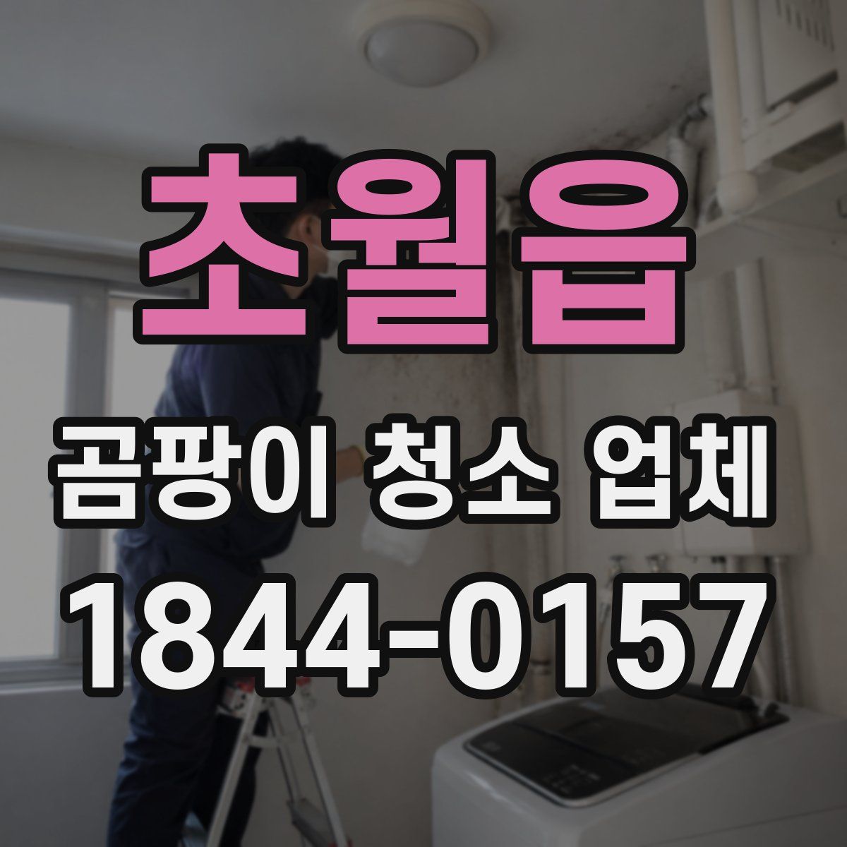 초월읍 곰팡이 청소 업체