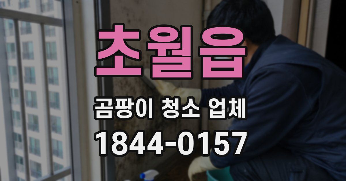 초월읍 곰팡이 청소 업체