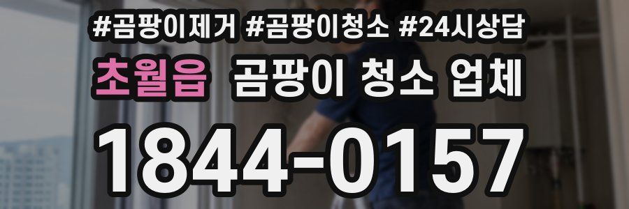 초월읍 곰팡이 청소 업체