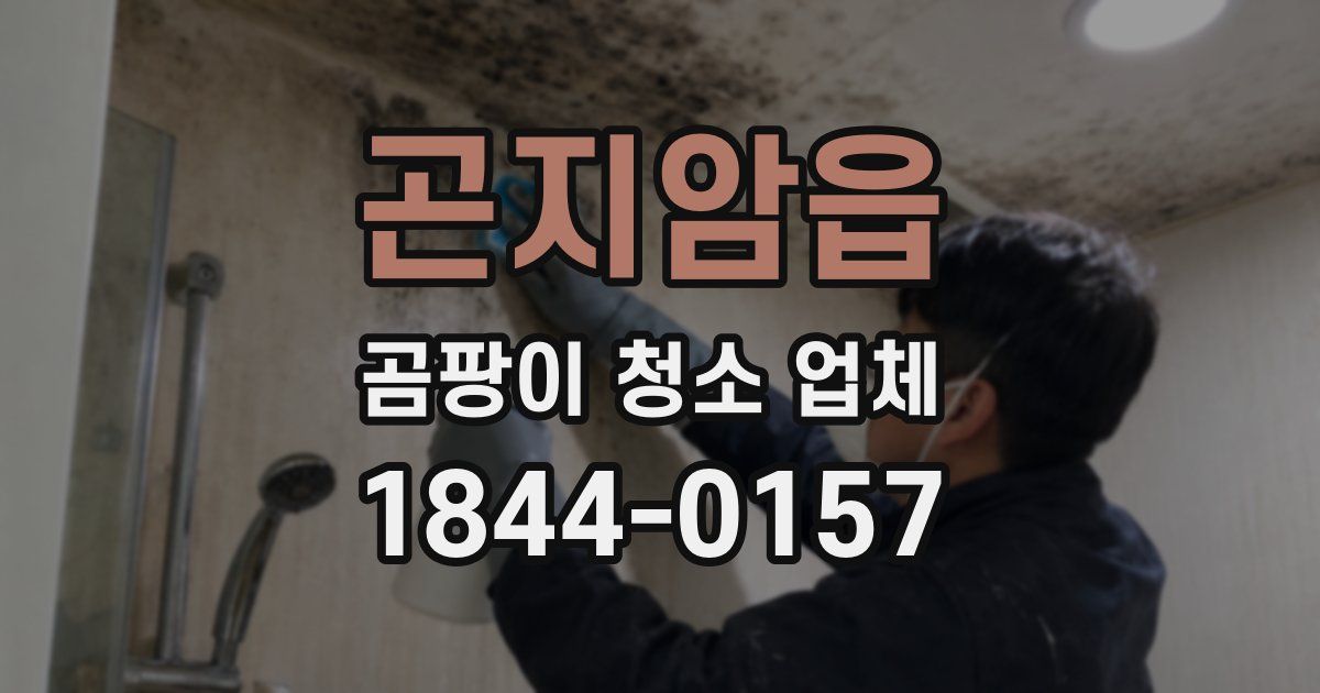 곤지암읍 곰팡이 청소 업체