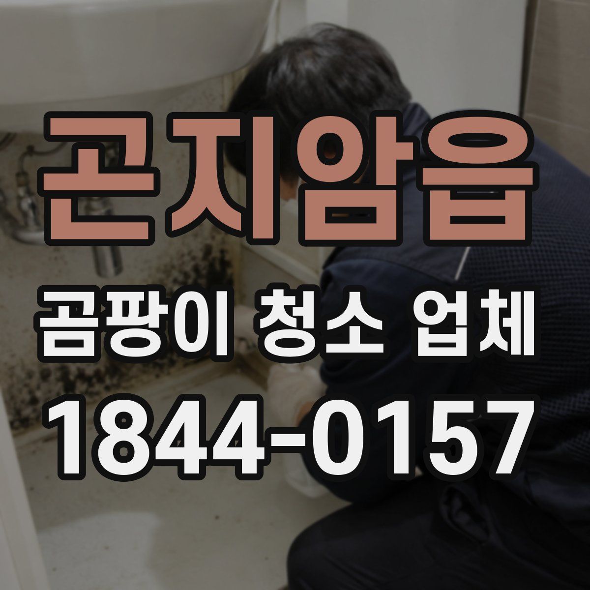 곤지암읍 곰팡이 청소 업체
