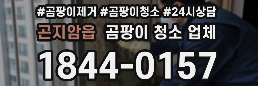 곤지암읍 곰팡이 청소 업체