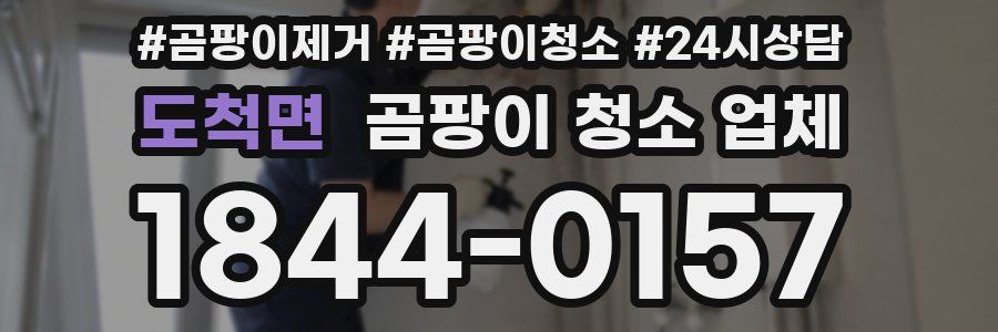 도척면 곰팡이 청소 업체