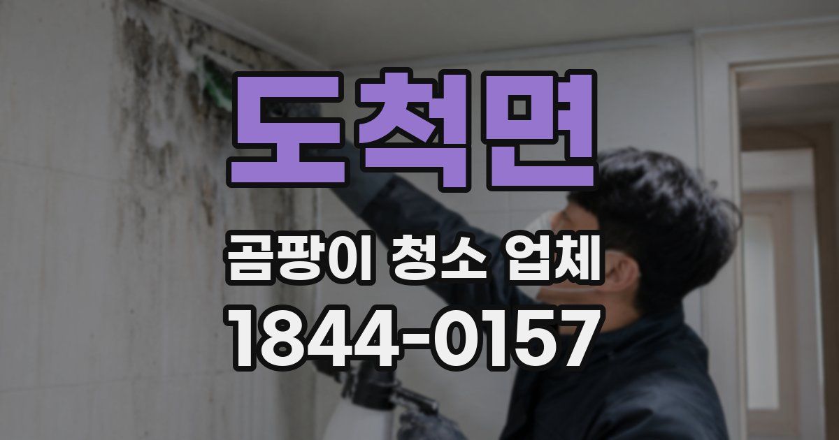 도척면 곰팡이 청소 업체