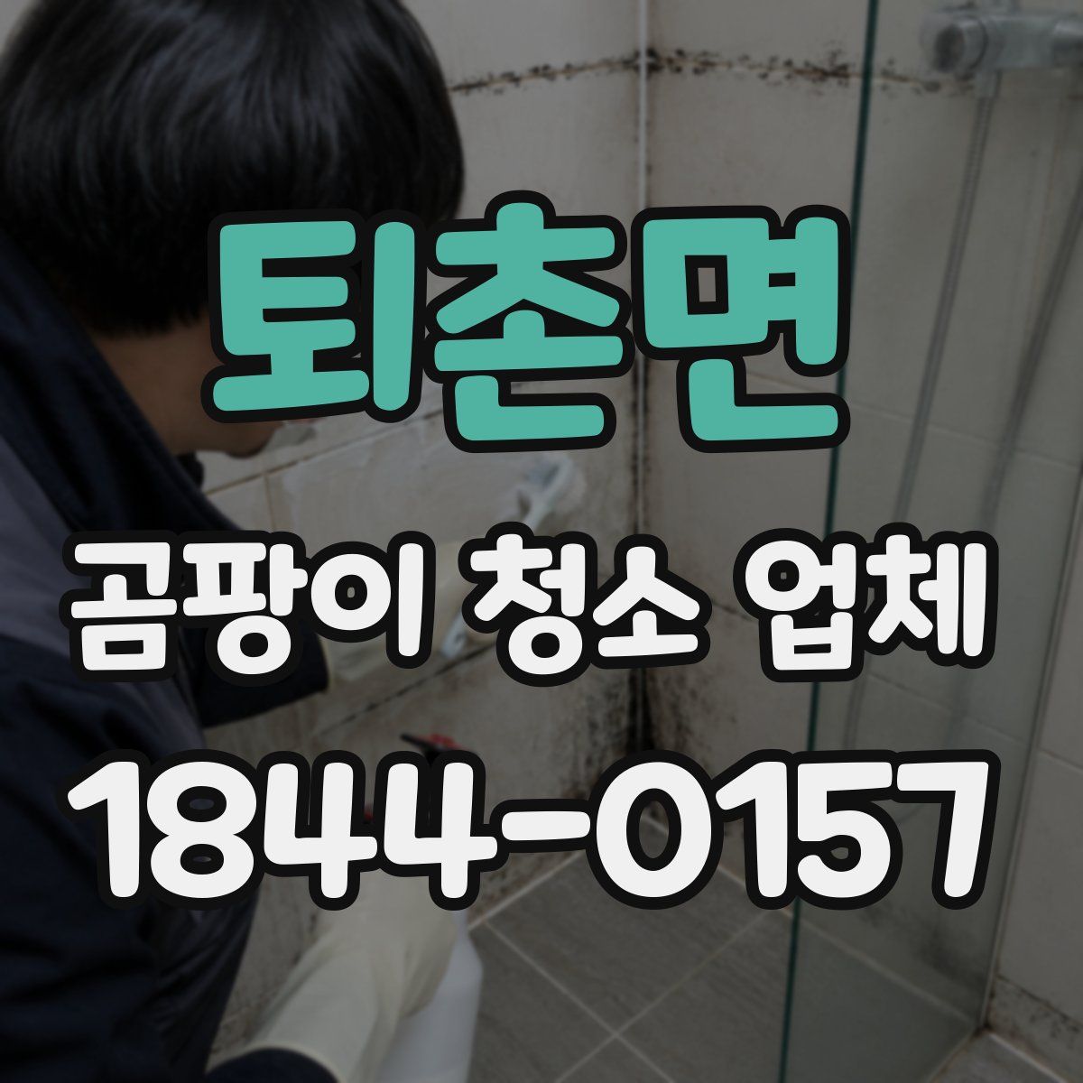 퇴촌면 곰팡이 청소 업체