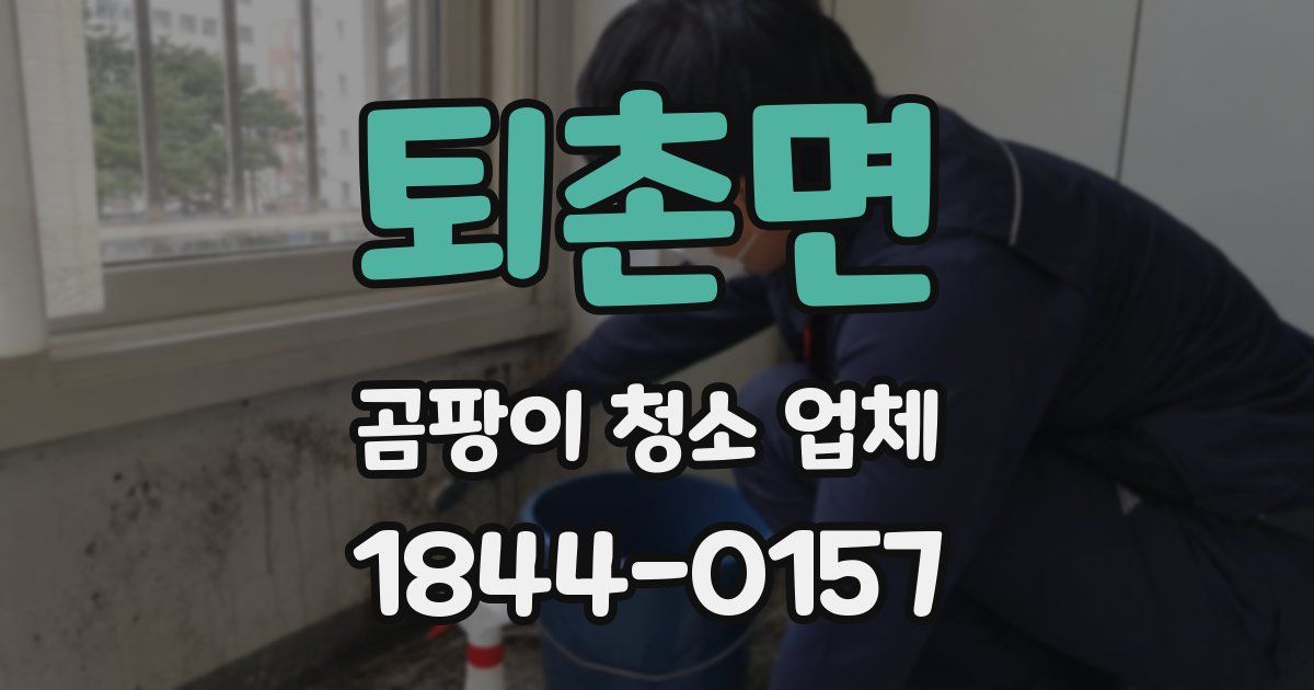 퇴촌면 곰팡이 청소 업체