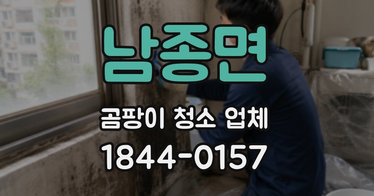 남종면 곰팡이 청소 업체