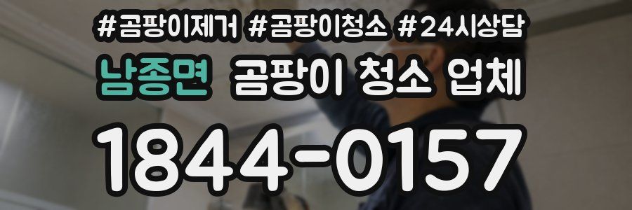 남종면 곰팡이 청소 업체
