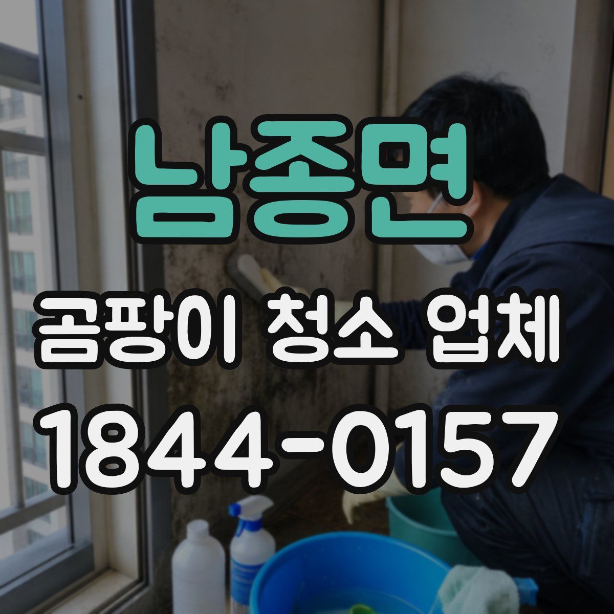 남종면 곰팡이 청소 업체