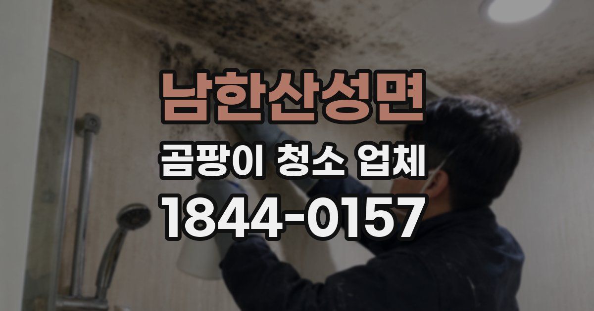 남한산성면 곰팡이 청소 업체