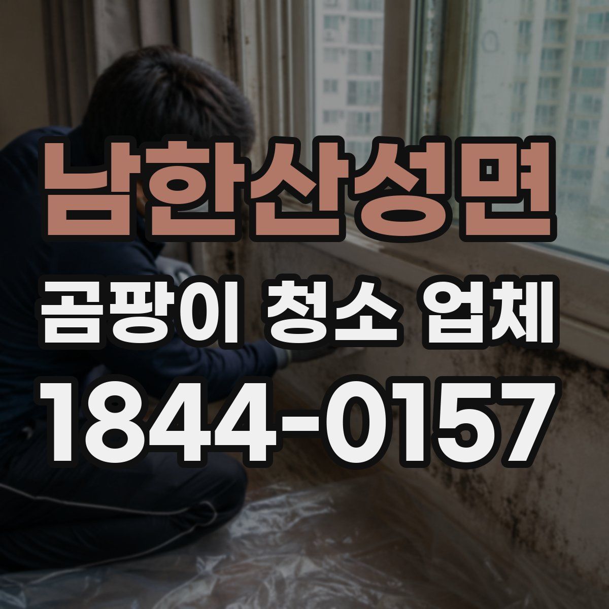 남한산성면 곰팡이 청소 업체
