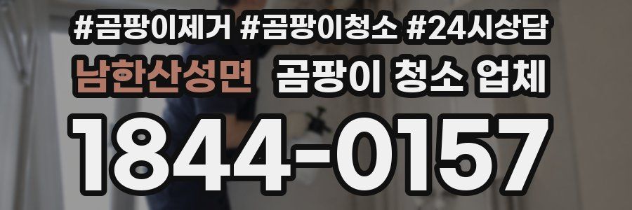 남한산성면 곰팡이 청소 업체