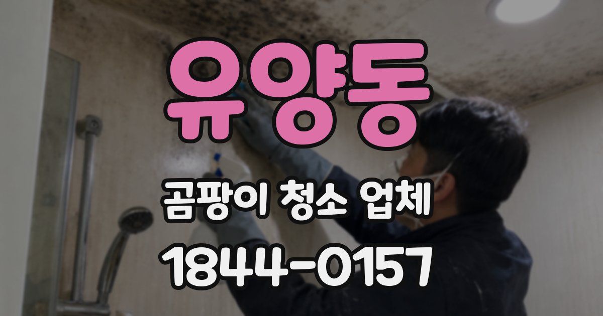 유양동 곰팡이 청소 업체