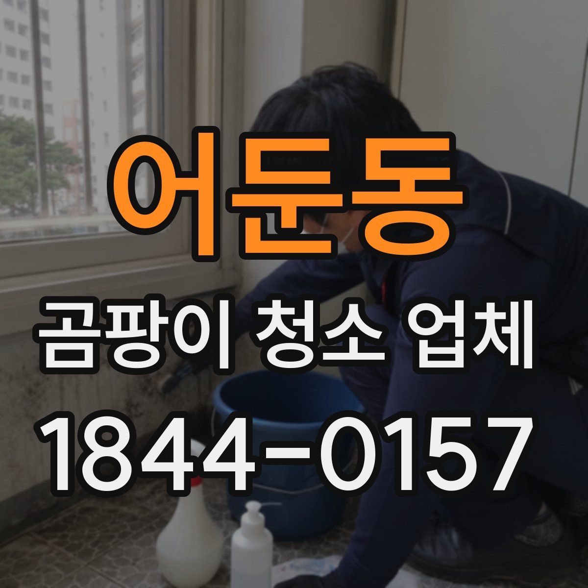 어둔동 곰팡이 청소 업체