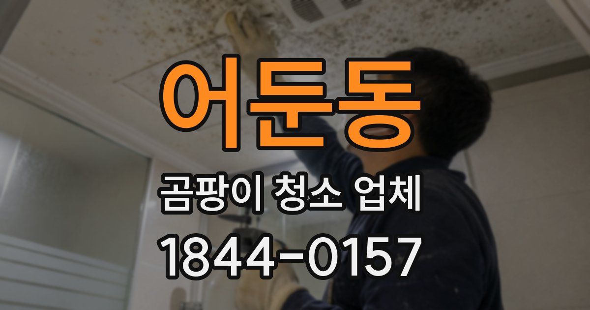 어둔동 곰팡이 청소 업체