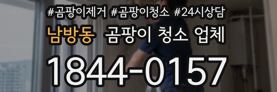 남방동 곰팡이 청소 업체