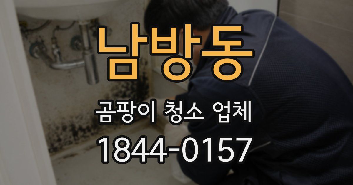 남방동 곰팡이 청소 업체