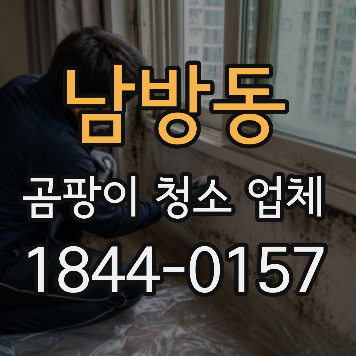 남방동 곰팡이 청소 업체