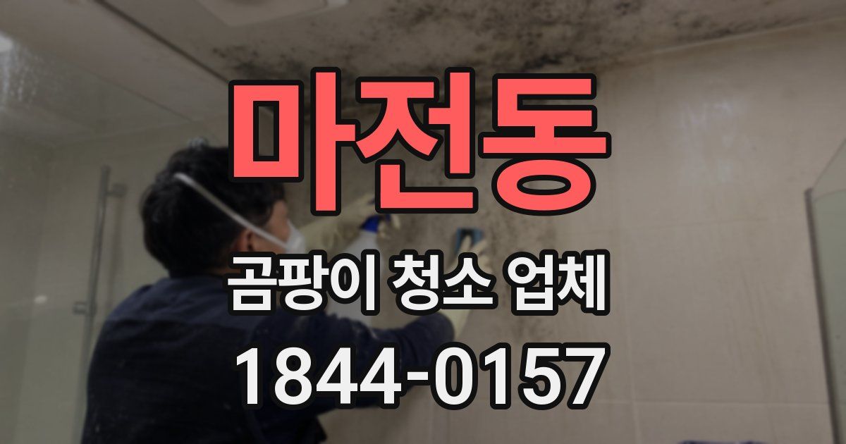 마전동 곰팡이 청소 업체