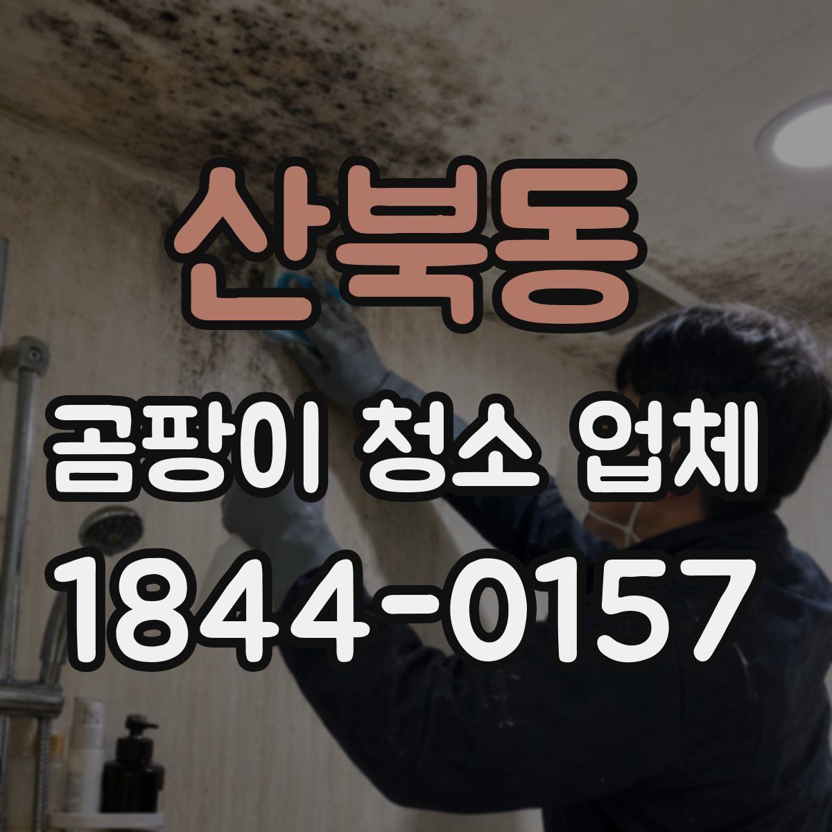 산북동 곰팡이 청소 업체