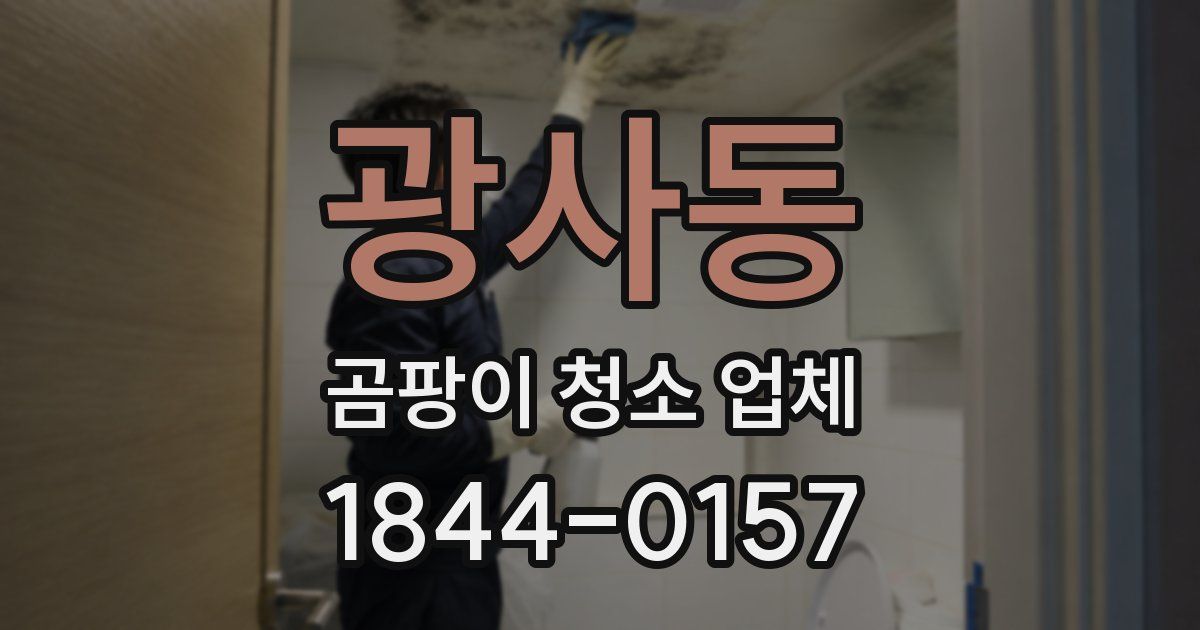 광사동 곰팡이 청소 업체