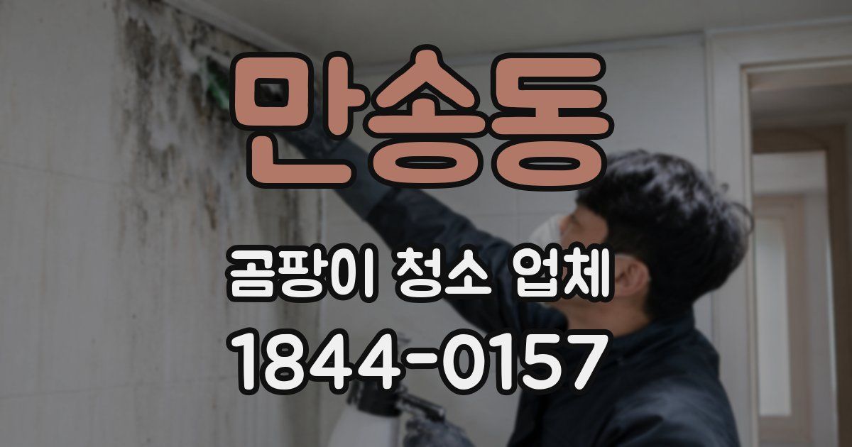 만송동 곰팡이 청소 업체