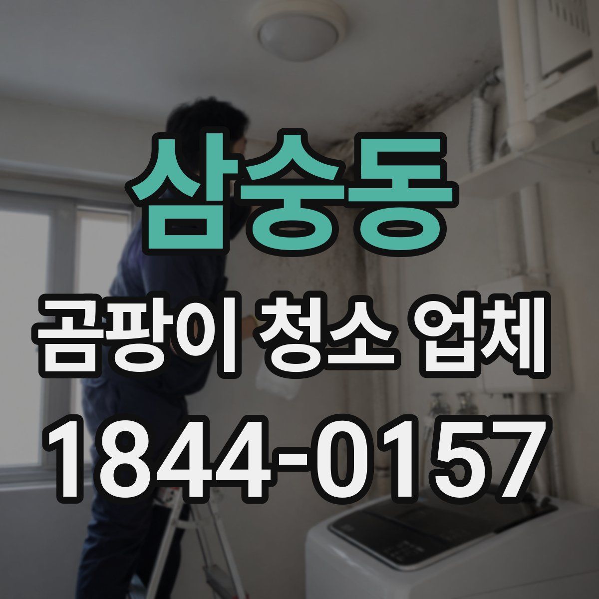 삼숭동 곰팡이 청소 업체