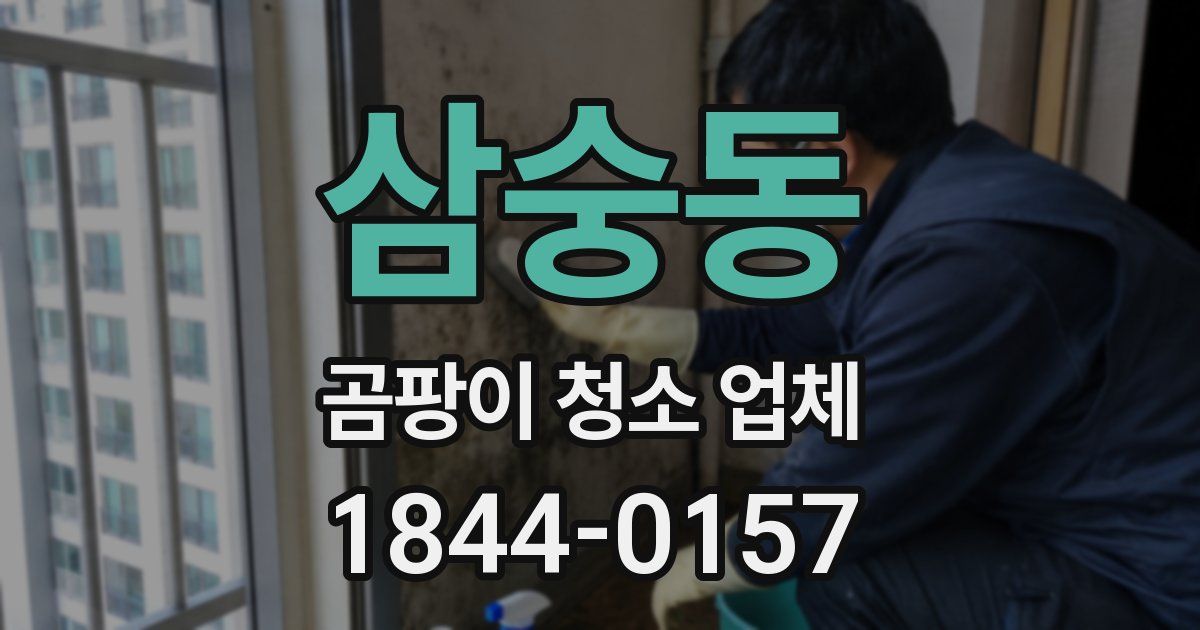 삼숭동 곰팡이 청소 업체
