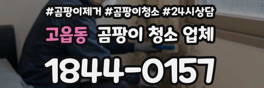 고읍동 곰팡이 청소 업체