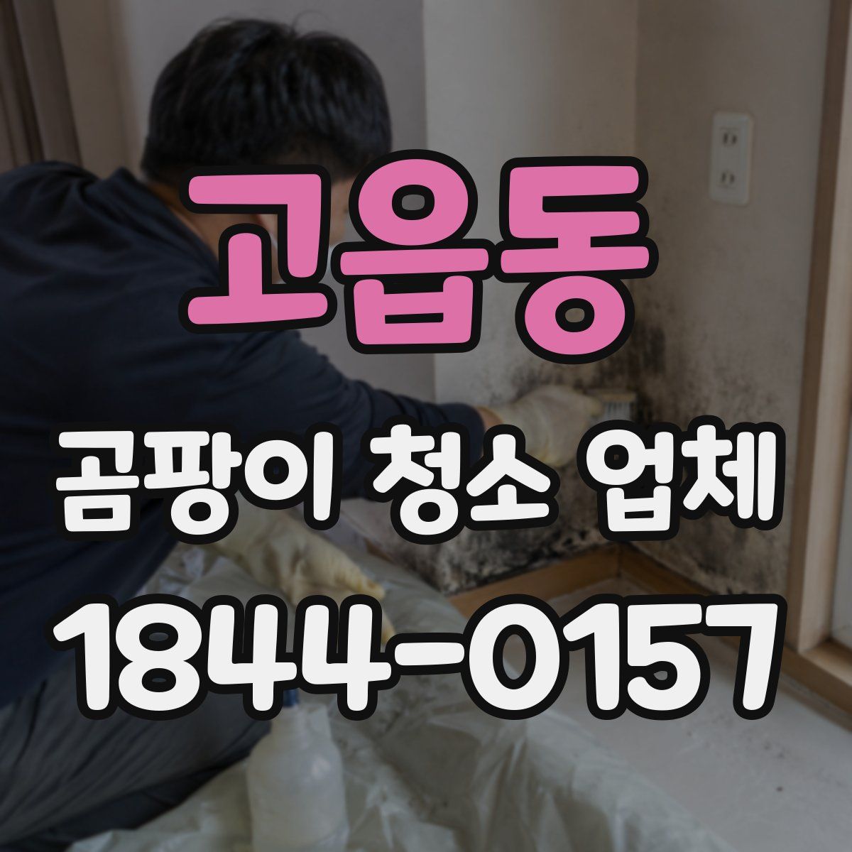 고읍동 곰팡이 청소 업체