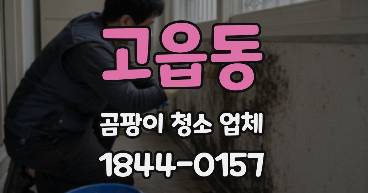 고읍동 곰팡이 청소 업체