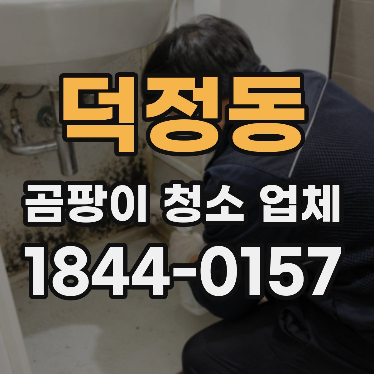 덕정동 곰팡이 청소 업체