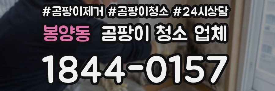 봉양동 곰팡이 청소 업체