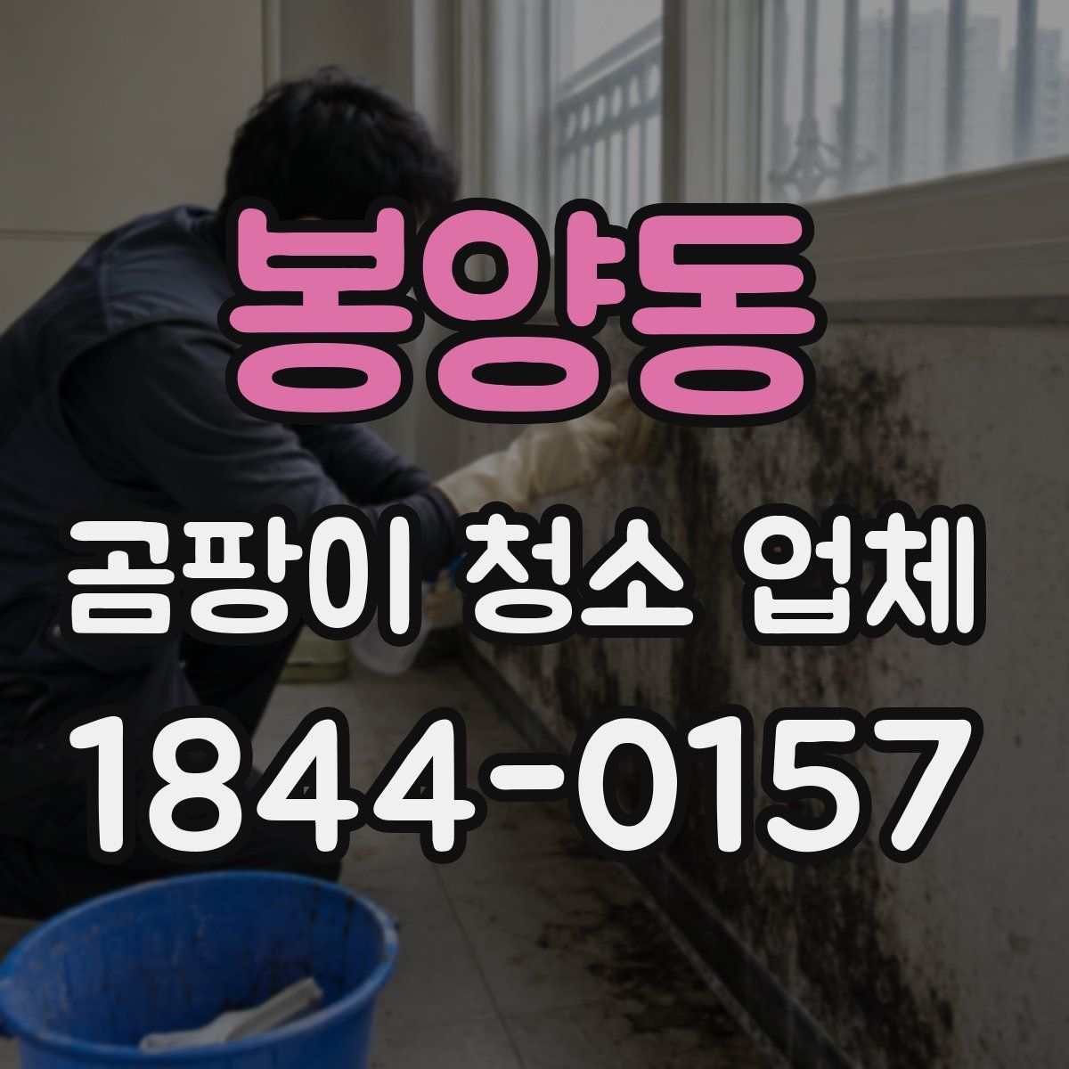 봉양동 곰팡이 청소 업체