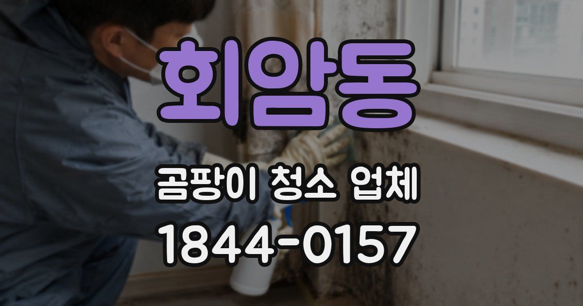 회암동 곰팡이 청소 업체