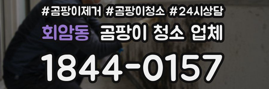 회암동 곰팡이 청소 업체