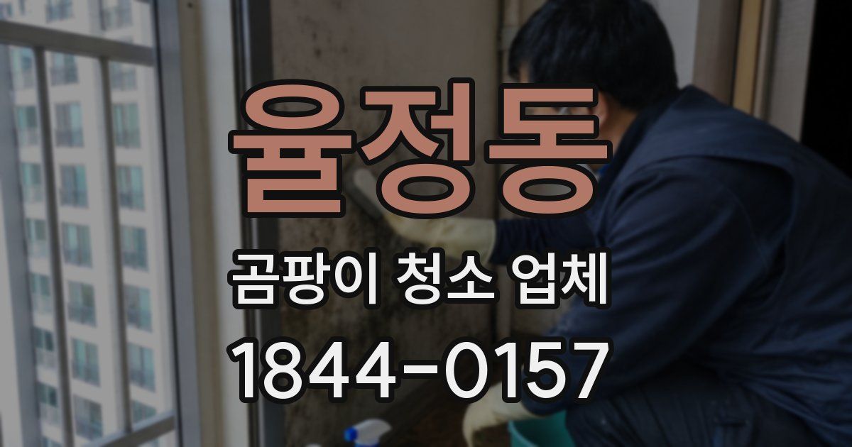율정동 곰팡이 청소 업체