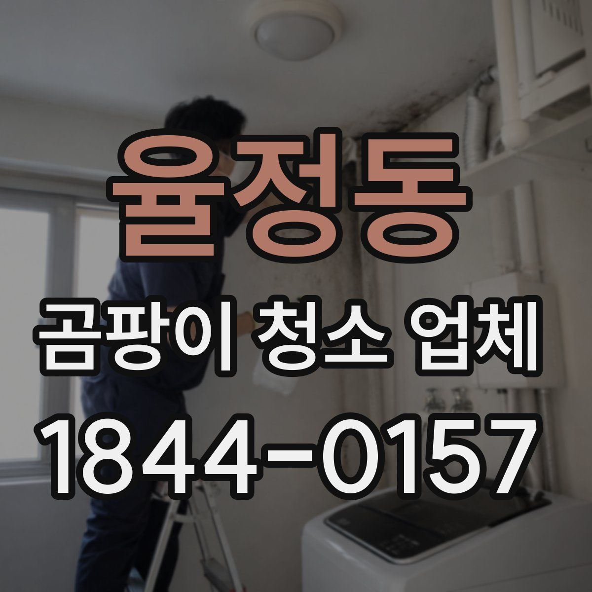 율정동 곰팡이 청소 업체