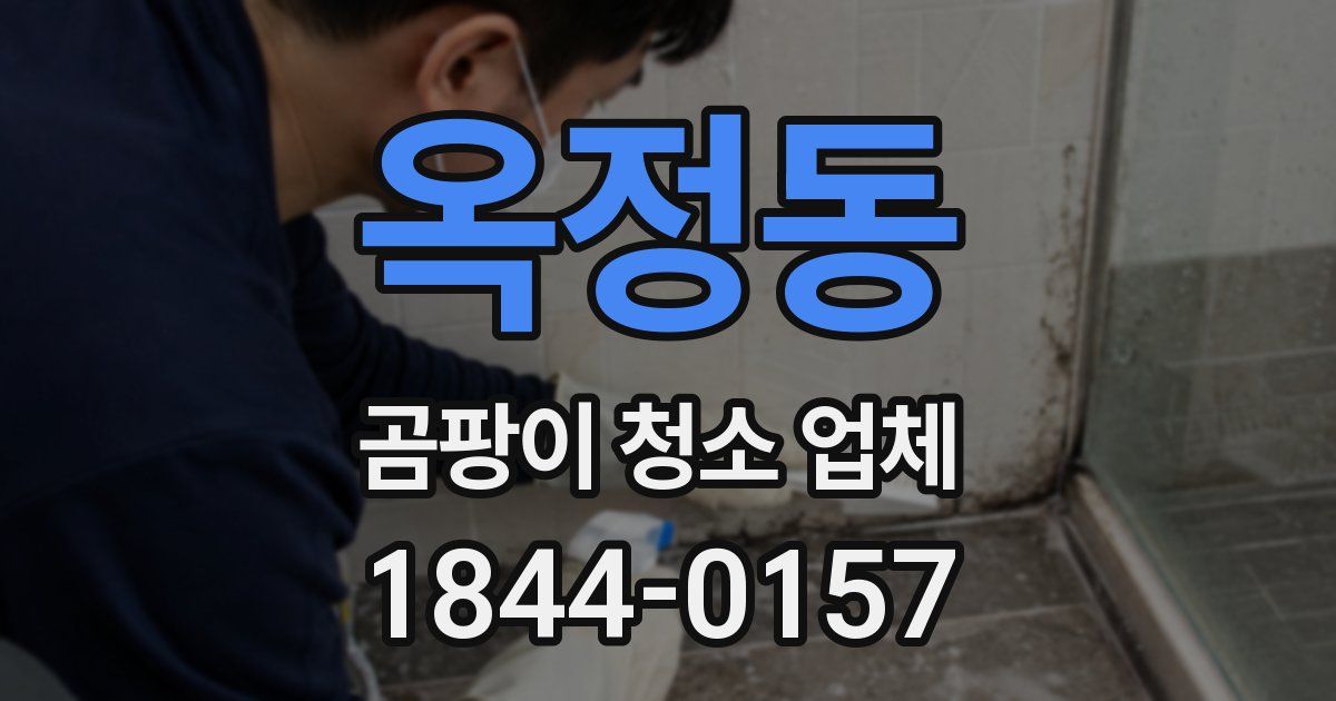 옥정동 곰팡이 청소 업체
