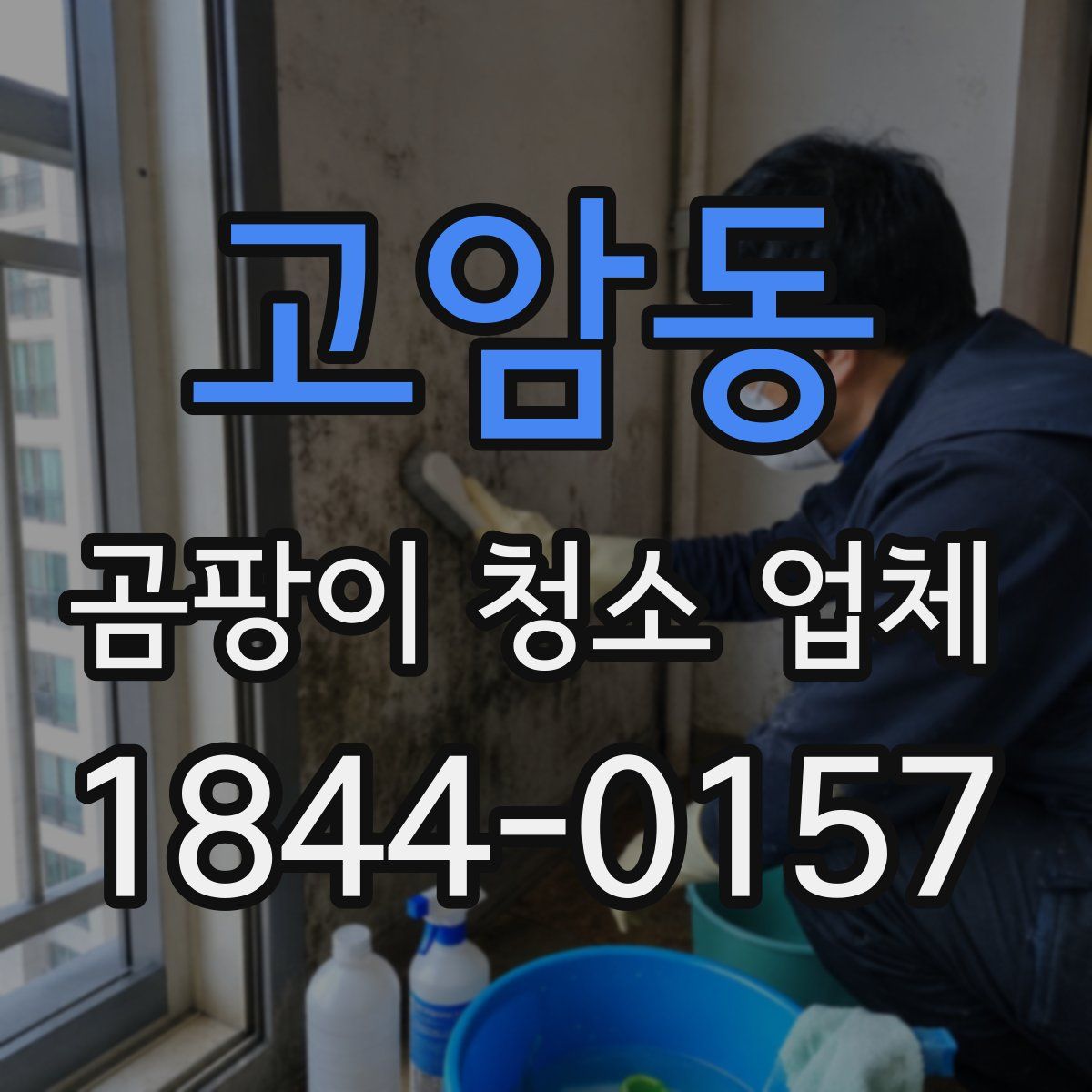 고암동 곰팡이 청소 업체