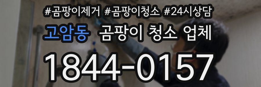 고암동 곰팡이 청소 업체