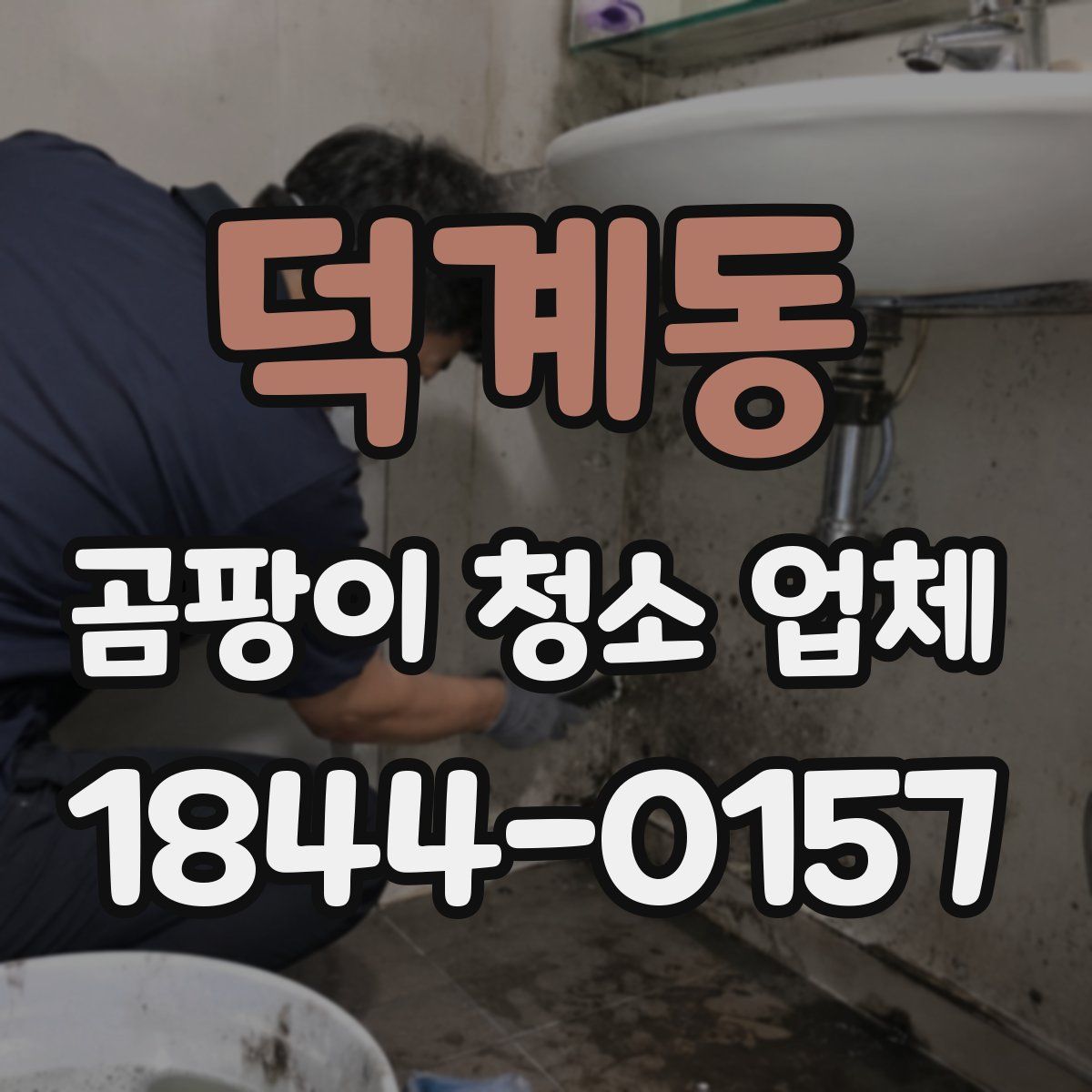 덕계동 곰팡이 청소 업체