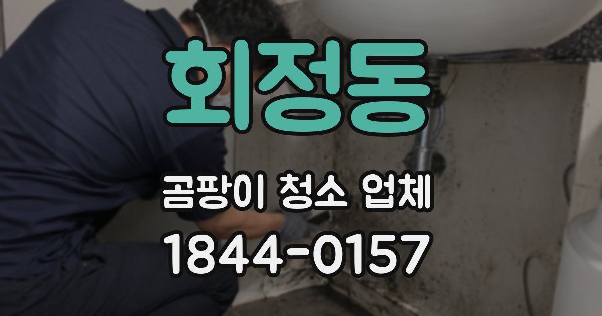 회정동 곰팡이 청소 업체
