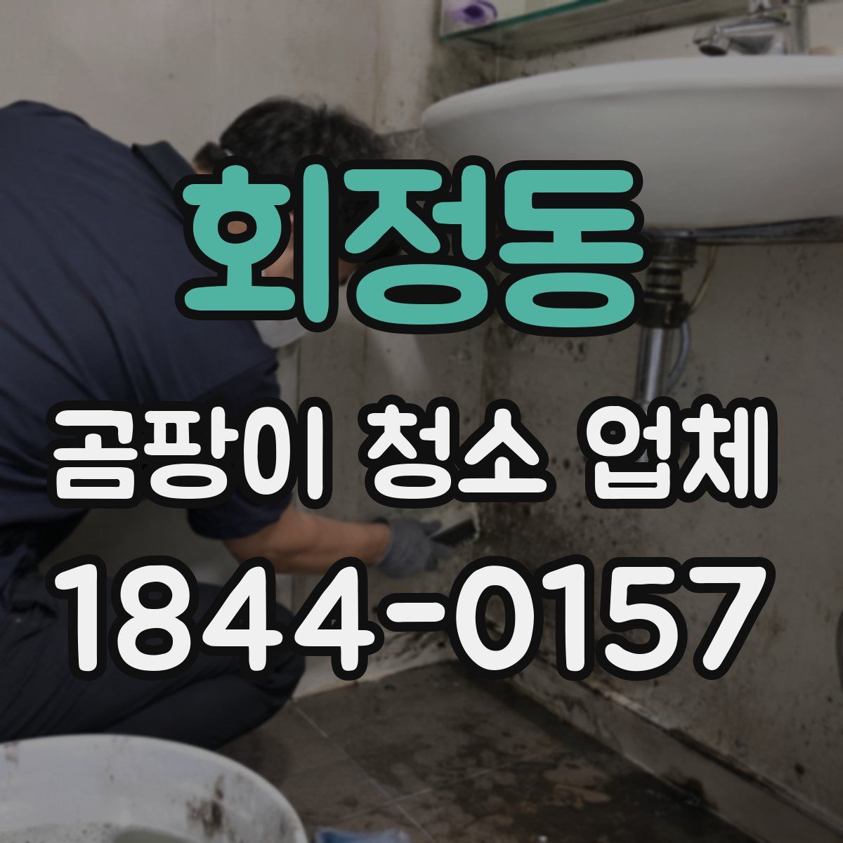 회정동 곰팡이 청소 업체