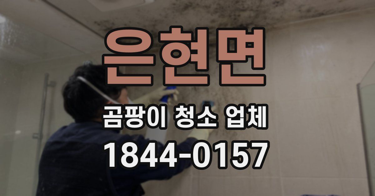 은현면 곰팡이 청소 업체