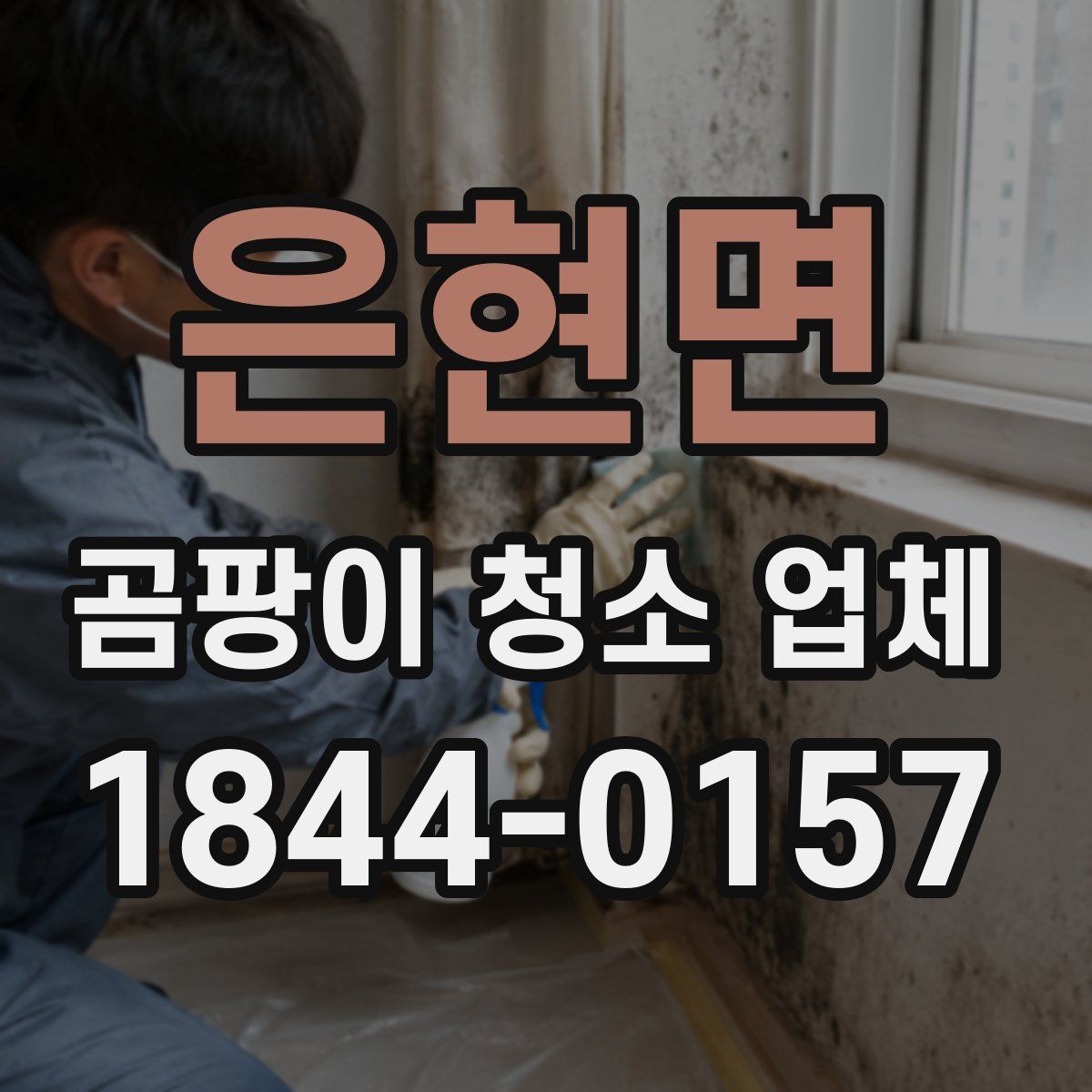 은현면 곰팡이 청소 업체